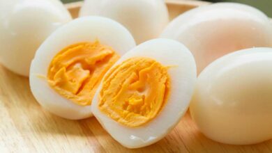 מה היתרונות של הביצה?